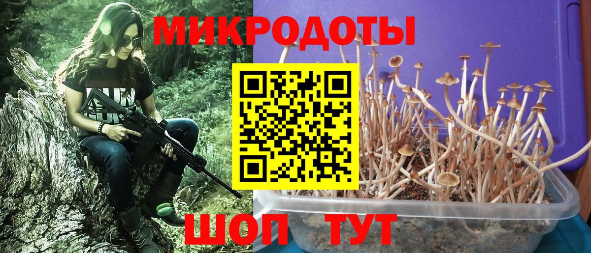 Черняховск  Псилоцибиновые грибы ЛСД  Вход с VPN 