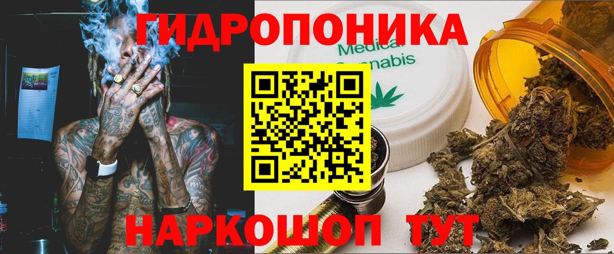 Конопля THC 21%  Вход с VPN  Черняховск  Каннабис сатива  Бошки марихуана ГИДРОПОН 